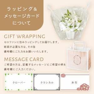 偲偲 shishi プリザーブドフラワーアレンジ【023B-003】