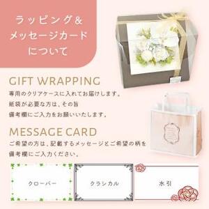 ノーブルティニー プリザーブドフラワーアレンジ【023D-010】