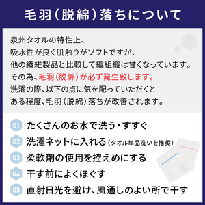 【泉州タオル】泉州美人 フェイスタオル2枚 ギフト 雲母×利休鼠 タオル フェイスタオル タオルギフト 泉州フェイスタオル タオルセット 【配送不可地域：北海道・沖縄・離島】【039D-198】