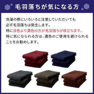 【泉州タオル】泉州美人 フェイスタオル2枚 ギフト 雲母×利休鼠 タオル フェイスタオル タオルギフト 泉州フェイスタオル タオルセット 【配送不可地域：北海道・沖縄・離島】【039D-198】