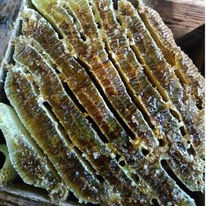 日本みつばちが集めた貴重なはちみつ(百花蜜)をお届けします。【1151556】