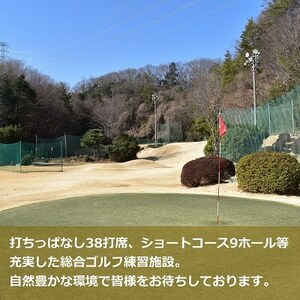 ゴルフ練習場 阪奈ゴルフ プリペイドカード 3,000円分 利用可能【1602864】