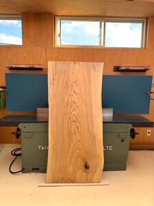 国産センの一枚板 Japandi空間の主役に｜一枚板 木材 加工品 DIY 家具 [0173]