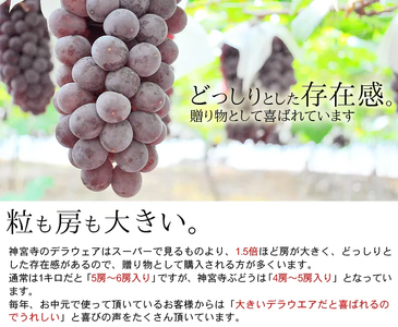 [先行予約] 神宮寺ぶどう (デラウエア) 2kg [0220]