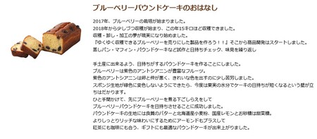 国産ブルーベリー パウンドケーキ ギフトM｜国産 無農薬 詰め合わせ 手作り [0289]