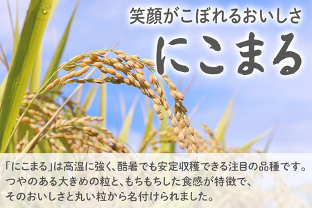 星華 利右衛門米 にこまる 玄米 10kg [0303]