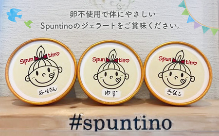 No.123 ジェラート詰め合わせ12個　計1.2kg ／ ミルク ジェラート gelato 卵不使用 野菜 果物 カップ カップアイス 詰め合わせ お取り寄せ スイーツ ご当地 デザート 大阪府