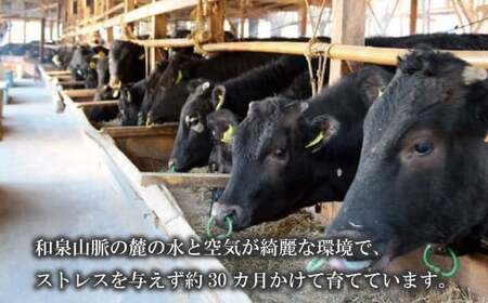 大阪産 和牛 なにわ黒牛 切り落とし ・ お徳用 500g (250g × 2パック) 