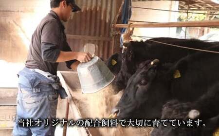 なにわ黒牛 黒毛和牛 お楽しみ福袋 (1kg前後 詰め合わせ)