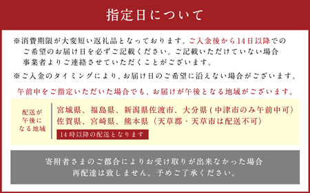 【指定日必須】老舗「うどんちり本家 にし家」瀬戸内産 鱧 と 淡路島産 玉ねぎ の はもしゃぶ (2人前 フルセット)【11月上旬～6月上旬発送不可】【月曜日と木曜日指定不可】