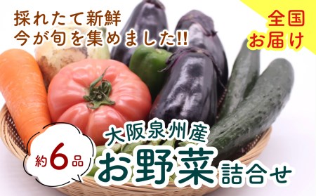 泉州産 季節の 野菜 詰め合わせ セット 小_0011