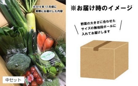 泉州産 季節の 野菜 詰め合わせ セット 小_0011