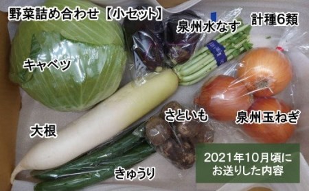 泉州産 季節の 野菜 詰め合わせ セット 小_0011