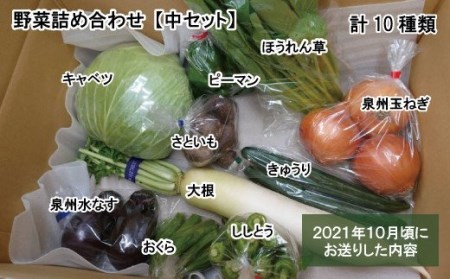 泉州産 季節の 野菜 詰め合わせ セット 小_0011