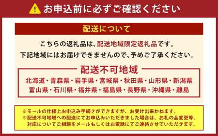 【2025年12月31日着】冷蔵 至高の匠重 特大三段重おせち おせち料理 おせち 三段重 3~4人前 27品目