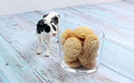 北庄司牛乳で作ったミルククッキー 100g×2袋 | お菓子 クッキー おやつ 菓子 焼き菓子