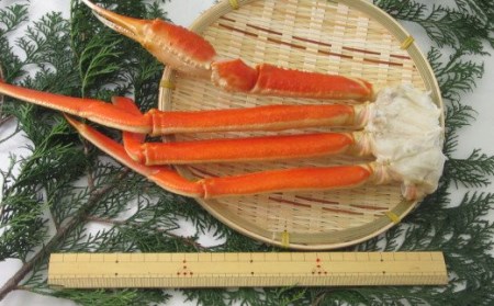 ボイル ずわい蟹 4L サイズ 3kg (7 ～ 9肩) 【11】