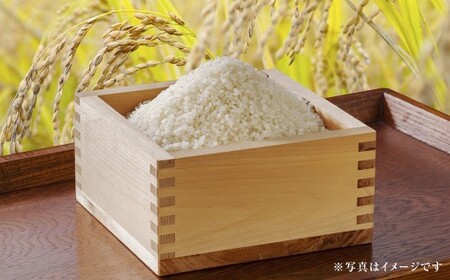 令和7年産〉 【はたなかさんち】 泉州産 ヒノヒカリ 5kg×1袋 令和7年産〉 【はたなかさんち】 泉州産 ヒノヒカリ 5kg×1袋