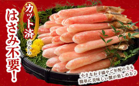 生ずわい蟹 フルポーション 500g (20 ～ 25本) 【4】 かに カニ ずわい蟹 足 ポーション むき身 しゃぶしゃぶ 鍋 海鮮 BBQ バーベキュー 簡単調理  冷凍