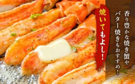 生ずわい蟹 フルポーション 500g (20 ～ 25本) 【4】 かに カニ ずわい蟹 足 ポーション むき身 しゃぶしゃぶ 鍋 海鮮 BBQ バーベキュー 簡単調理  冷凍