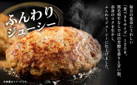 【A4～A5ランクの黒毛和牛100%】 ハンバーグ 120g×10個 （計1.2kg） ／ 黒毛和牛 黒毛和種 和牛 国産牛 牛肉 お肉 肉 大阪府 阪南市 冷凍