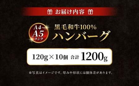 【A4～A5ランクの黒毛和牛100%】 ハンバーグ 120g×10個 （計1.2kg） ／ 黒毛和牛 黒毛和種 和牛 国産牛 牛肉 お肉 肉 大阪府 阪南市 冷凍