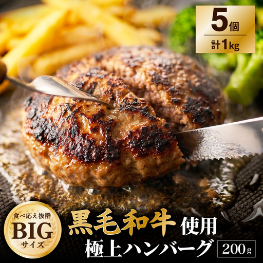 黒毛和牛使用！ 200gのBIG手作りハンバーグ 200g×5個 （計1kg） ／ 黒毛和牛 黒毛和種 和牛 国産牛 牛肉 お肉 肉 大阪府 阪南市 冷凍