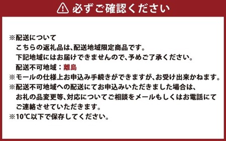 泉州蕎麦 阪南地産 十割蕎麦（春のいぶき） つゆ付き4人前（100g×4袋）【順次発送】 泉州 蕎麦 そば ソバ 年越し蕎麦 年越し 年越しそば 年越しソバ 4人前 100g 4袋 泉州産 国産 大晦日 十割蕎麦 春のいぶき