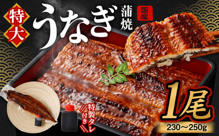 国産 うなぎ 蒲焼 1尾 （230g ～ 250g） と 特製タレ 1個 セット 鰻 ウナギ 蒲焼き うなぎ蒲焼 セイロ蒸し せいろ蒸し タレ付 冷凍 父の日