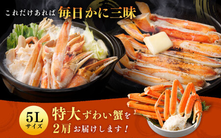 ボイル ズワイ蟹 特大サイズ 2肩 800g  ｜海鮮 カニ かに 蟹 ズワイガニ 冷凍