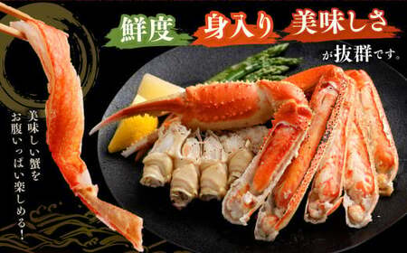 ボイル ズワイ蟹 特大サイズ 2肩 800g  ｜海鮮 カニ かに 蟹 ズワイガニ 冷凍