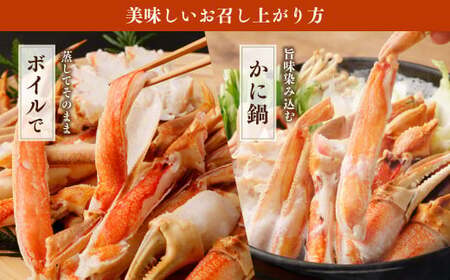 生 ズワイ蟹 鍋 3点セット 1kg | 海鮮 カニ かに 蟹 ズワイガニ 鍋セット 海鮮鍋 冷凍