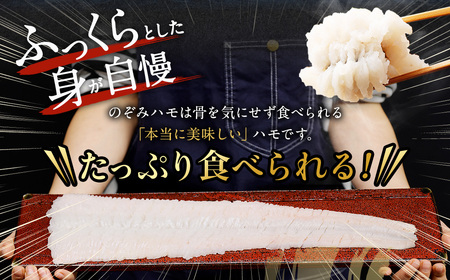 のぞみ水産 活〆 骨切り 生鱧 500g 【2026年5月上旬から12月上旬発送予定】