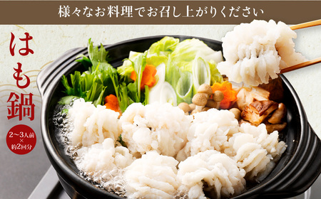 のぞみ水産 活〆 骨切り 生鱧 500g 【2026年5月上旬から12月上旬発送予定】