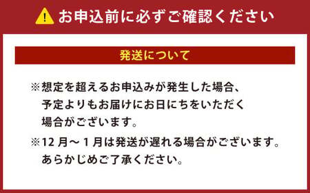 年内発送 特大 ブラックタイガー 殻なし ビッグサイズ （10匹） 【入金確認後7営業日程度で発送】｜ エビ えび 海老 ブラックタイガー むきえび むきエビ 冷凍