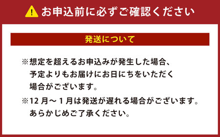 年内発送 驚きのジャンボサイズ 背ワタ無し むきエビ 1kg 【入金確認後7営業日程度で発送】｜えび エビ 海老 むきえび 特大 特大サイズ 冷凍