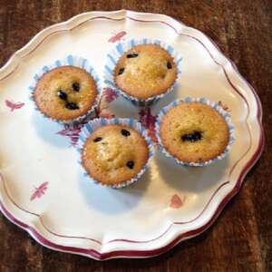 丹波産黒豆のケーキ【配送不可地域：離島】【1489192】