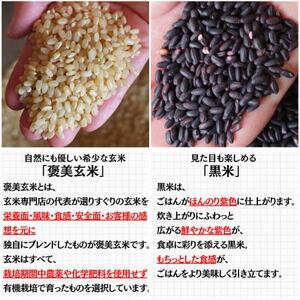 【白米に混ぜて簡単!】国産 有機黒米ブレンド750g(250g×3袋入り)【1633250】