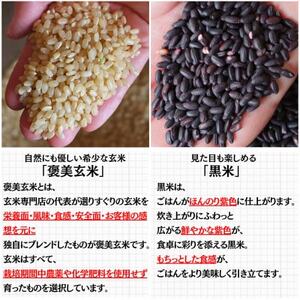 【白米に混ぜて簡単!】国産 黒米ブレンド600g(300g×2袋入り)【1632792】