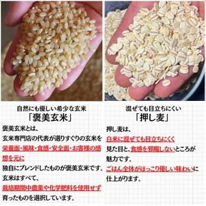 【白米に混ぜて簡単!】国産 押し麦ブレンド600g(300g×2袋入り)【1632803】