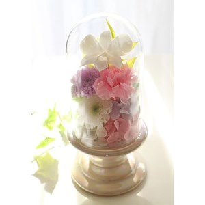 プリザーブドフラワー　仏花ガラスドームアレンジ【1152228】