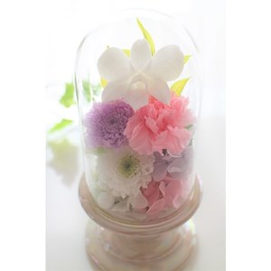 プリザーブドフラワー　仏花ガラスドームアレンジ【1152228】