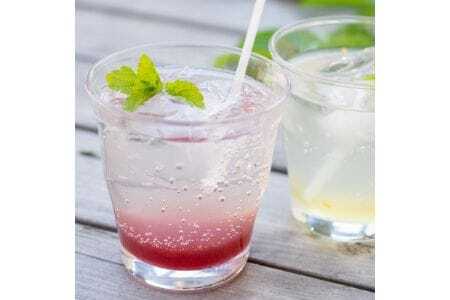 【大阪能勢産】 赤しそシロップ 3本セット