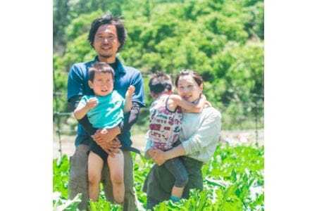 【大阪能勢産】 赤しそシロップ 3本セット