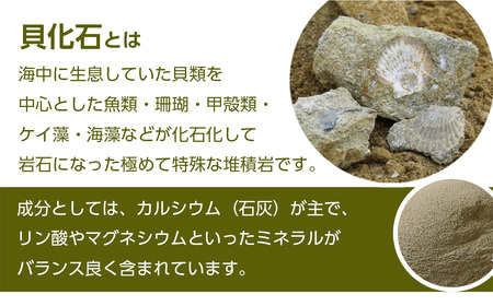 肥料 貝化石 20kg 1袋 土壌 改良 ミネラル 環境 【2024年4月以降発送
