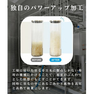 【訳アリ】色柄お楽しみ羽毛ふとん 超長綿生地100% シングルダウン93%1.2kg羽毛掛けふとん【1442844】