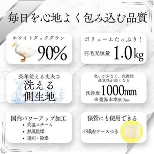 【洗える】羽毛布団シングル 羽毛1.0kg 北欧デザイン グレー抗菌防臭加工あったかい日本製【1443284】