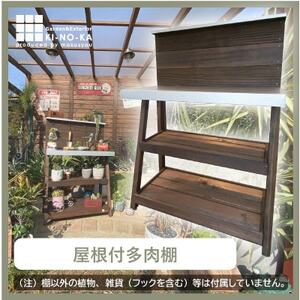 木の香オリジナル多肉植物棚【1480893】