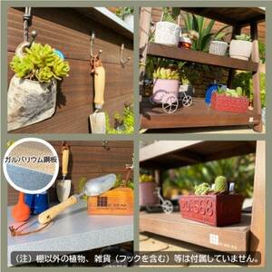 木の香オリジナル多肉植物棚【1480893】