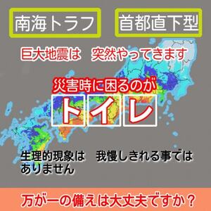 日本製 非常用トイレ トイレ凝固剤 銀イオンのちから 100包セット(防災グッズ　防災トイレ)【1672058】